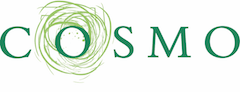 LOGOCOSMO
